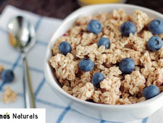 prebiotics for brain health