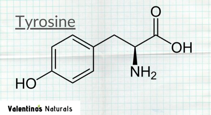 l_tyrosine_nootropic_review l tyrosine nootropic review