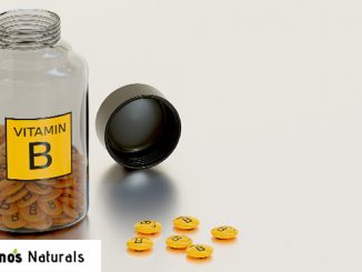 vitamin b6 as a nootropic
