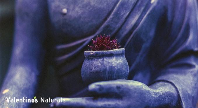 how_to_stick_to_a_meditation_routine how to stick to a meditation routine - commit to meditation daily