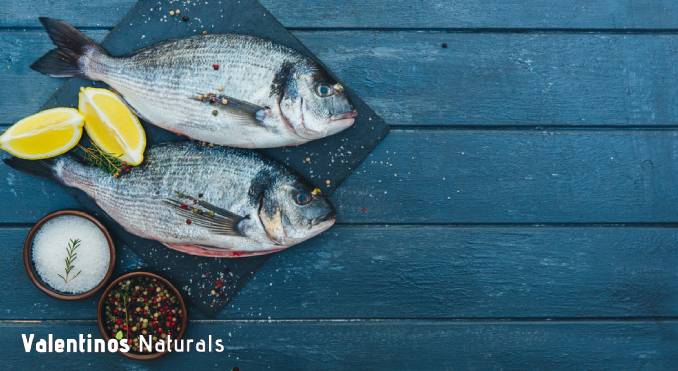 why_is_fish_brain_food Why is fish brain food? Why is Eating Fish Good for Your Brain?