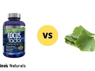 Focus Factor vs Ginkgo Biloba